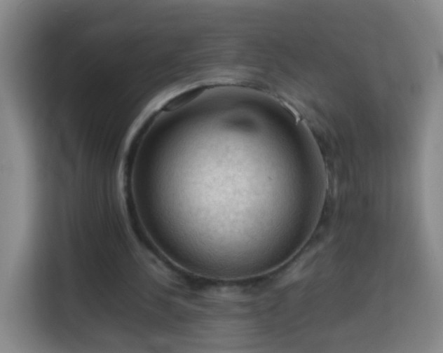 X0000113780244200909301155