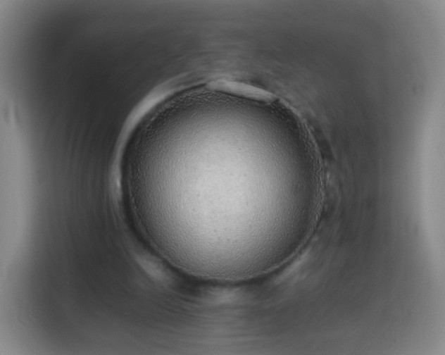 X0000113780246200909301155