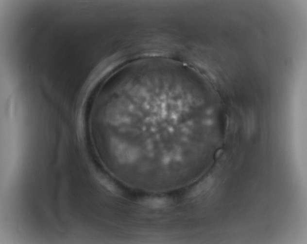 X0000113780247200909301155