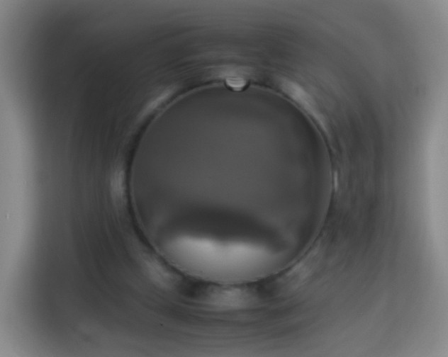 X0000113780249200909301155