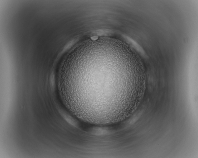 X0000113780250200909301155