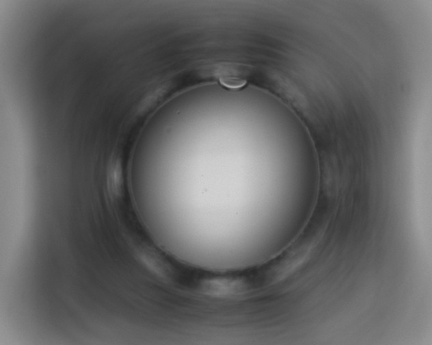 X0000113780251200909301155