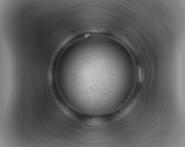 X0000113780252200909301155