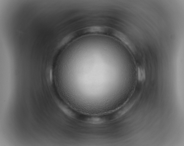 X0000113780253200909301155