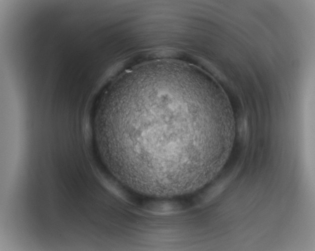 X0000113780254200909301155