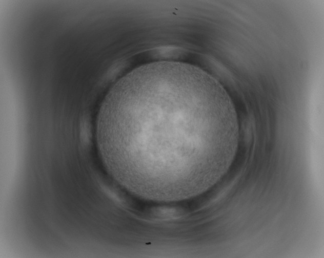 X0000113780255200909301155