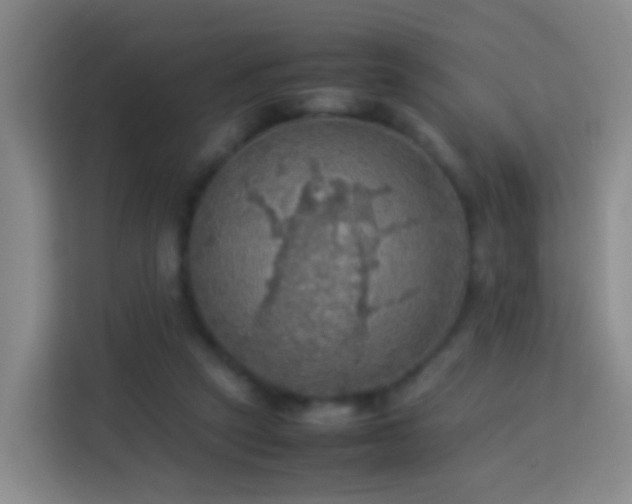 X0000113780257200909301155