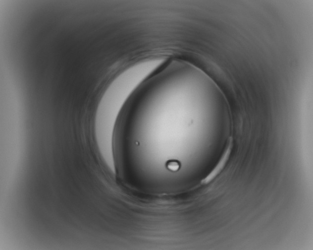 X0000113780260200909301155