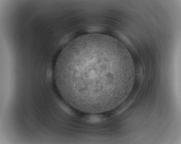 X0000113780261200909301155