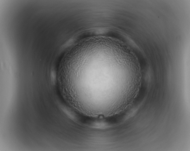 X0000113780262200909301155