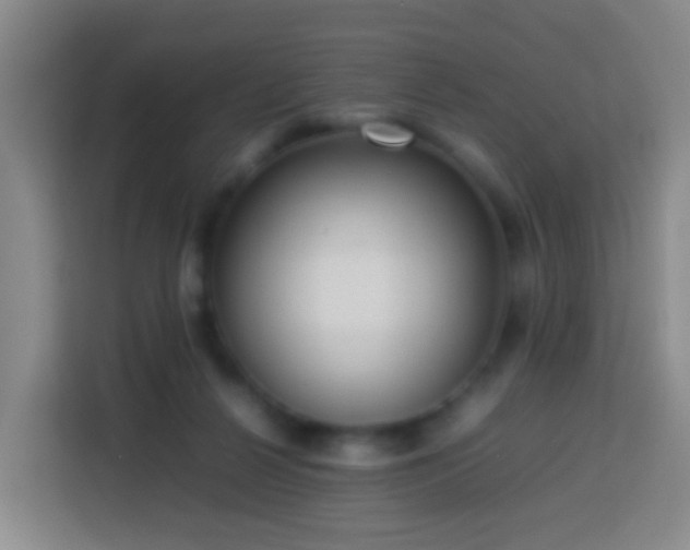 X0000113780264200909301155