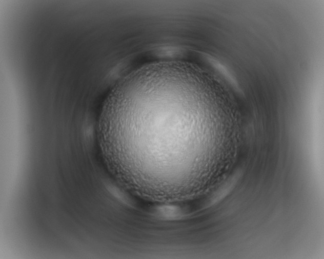 X0000113780265200909301155