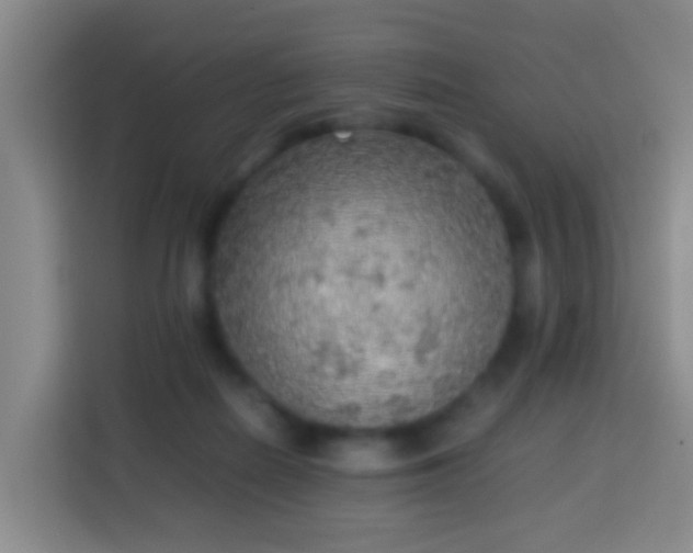 X0000113780266200909301155