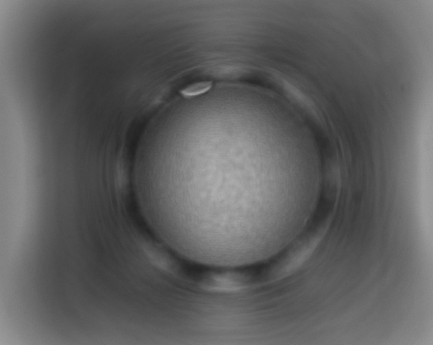 X0000113780268200909301155