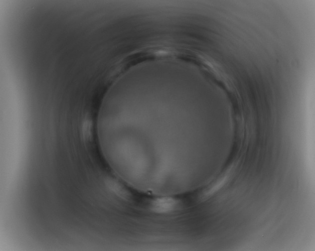 X0000113780269200909301155