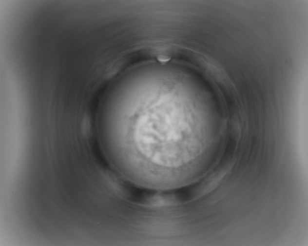 X0000113780270200909301155