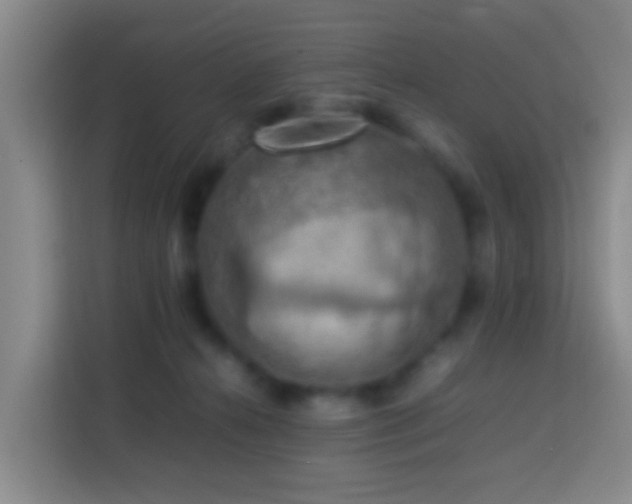 X0000113780272200909301155