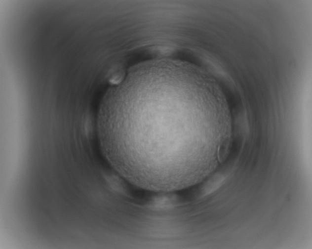 X0000113780274200909301155