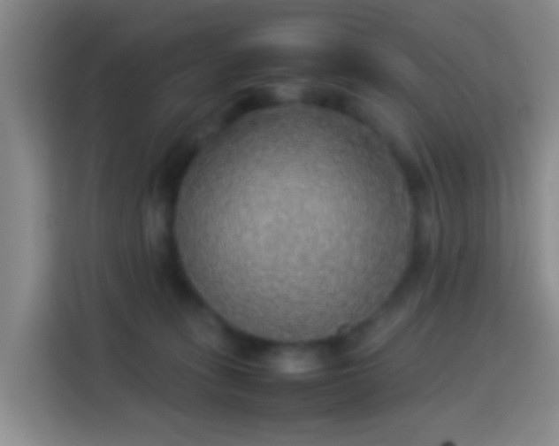 X0000113780275200909301155