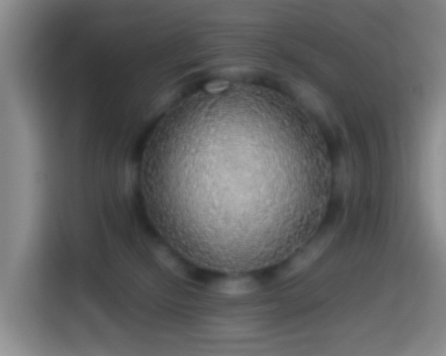 X0000113780278200909301155