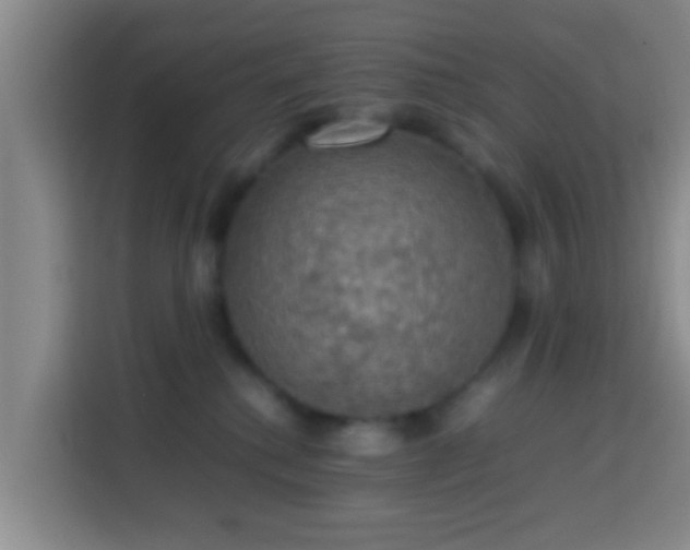 X0000113780280200909301155