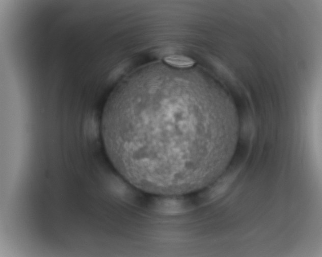 X0000113780282200909301155