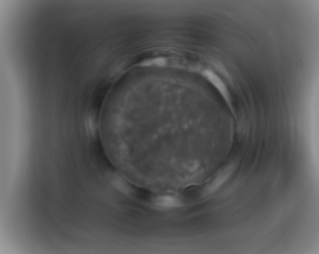 X0000113780285200909301156