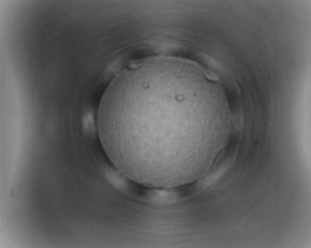 X0000113780286200909301156