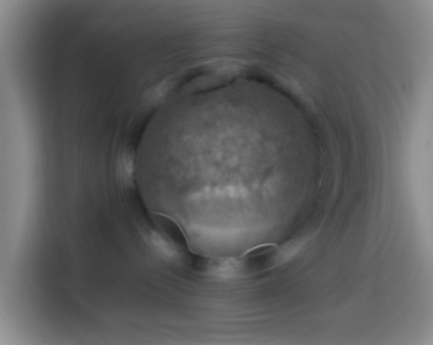 X0000113780288200909301156