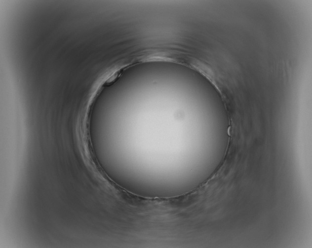 X0000113780289200909301155