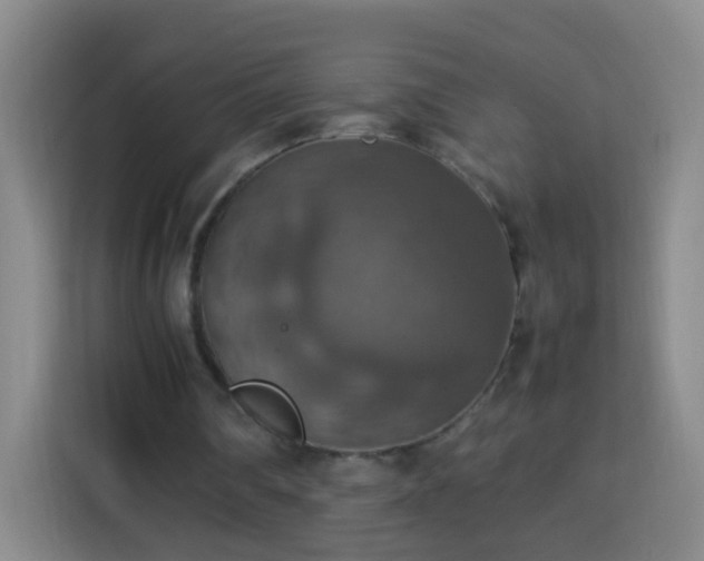 X0000113780290200909301155