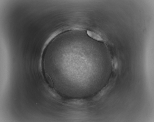 X0000113780292200909301155