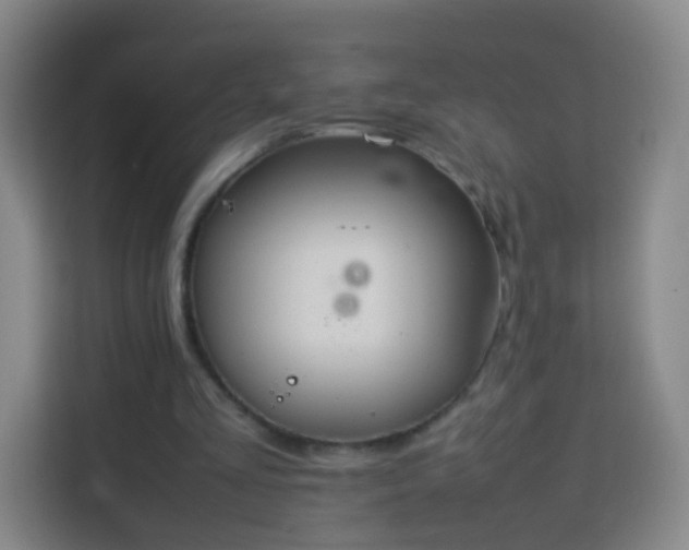 X0000113780293200909301155