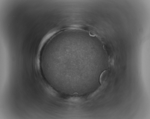 X0000113780294200909301155