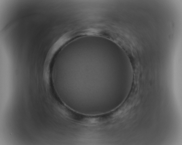 X0000113780295200909301155