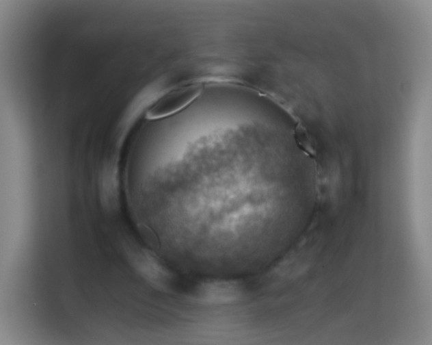 X0000113780296200909301155