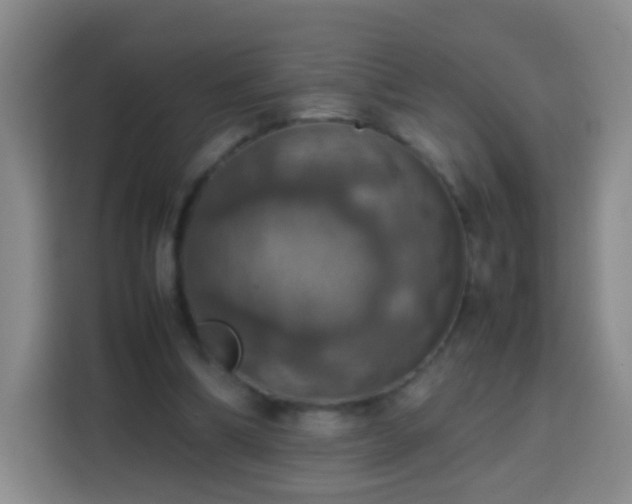 X0000113780298200909301155