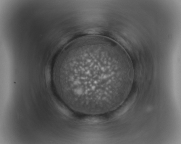 X0000113780299200909301155