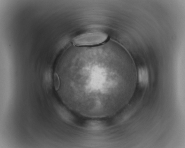 X0000113780300200909301155