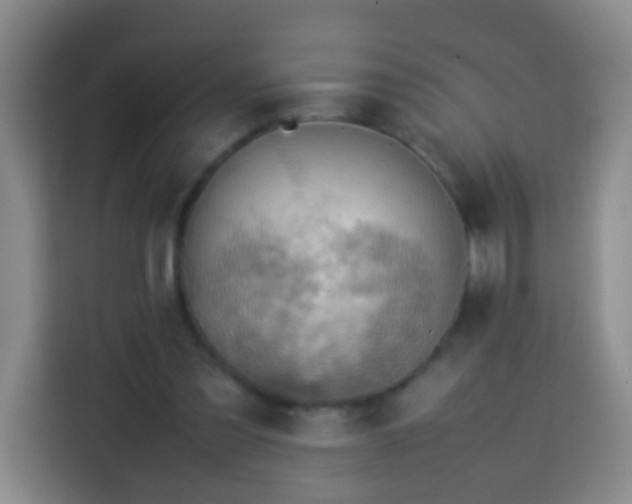 X0000113780301200909301155