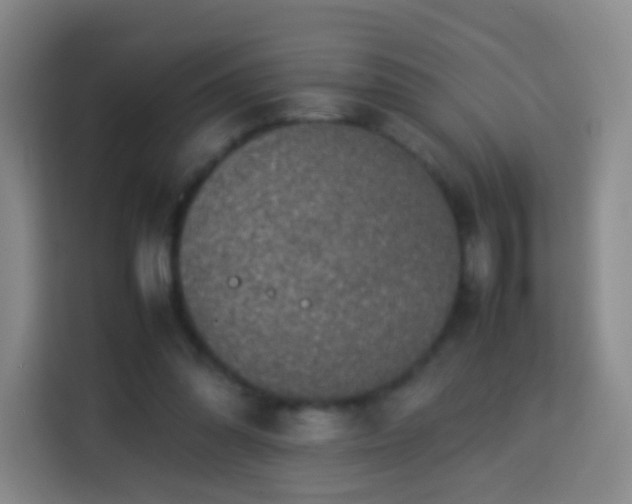 X0000113780302200909301155