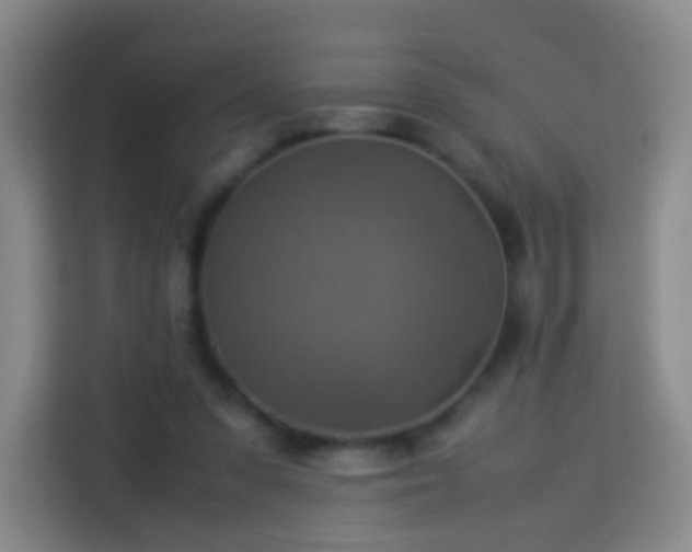 X0000113780303200909301155