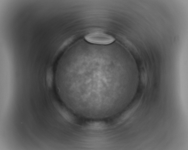 X0000113780304200909301155