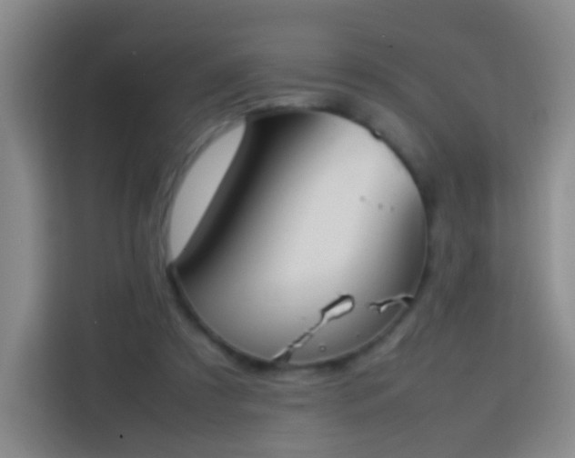 X0000113780305200909301155