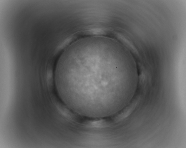 X0000113780306200909301155