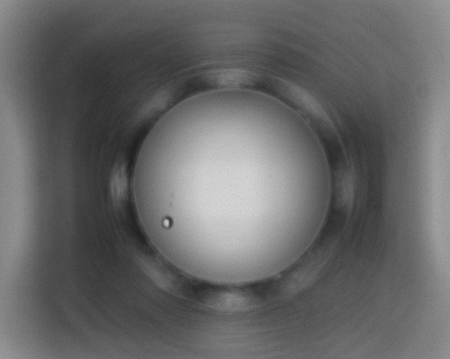 X0000113780310200909301155