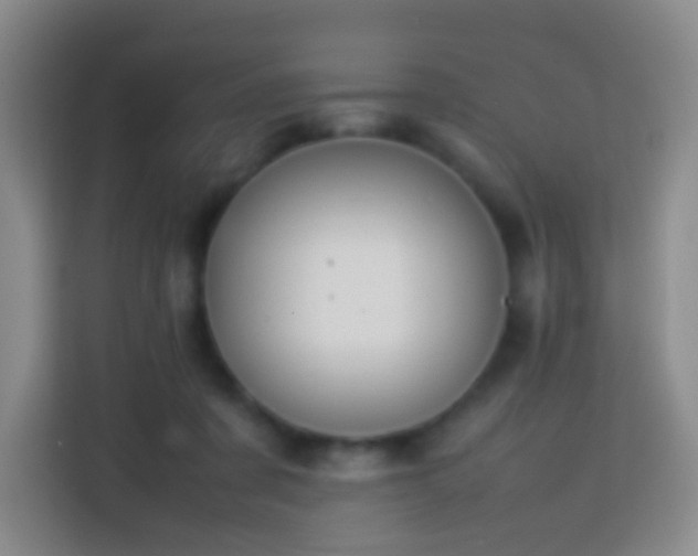 X0000113780311200909301155