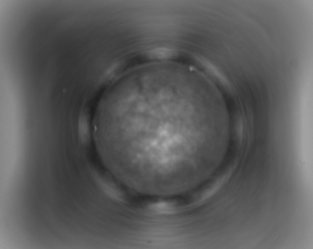 X0000113780312200909301155