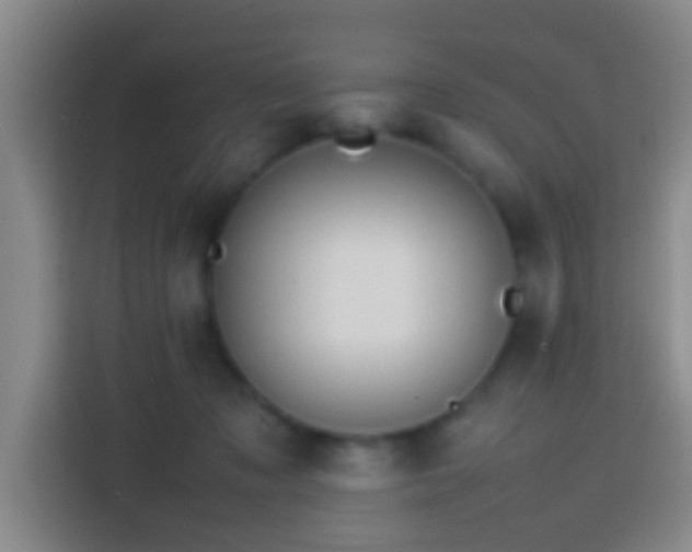 X0000113780317200909301155