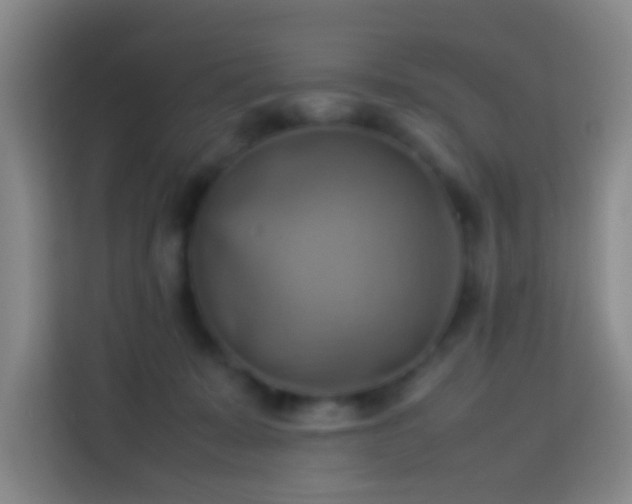 X0000113780319200909301155